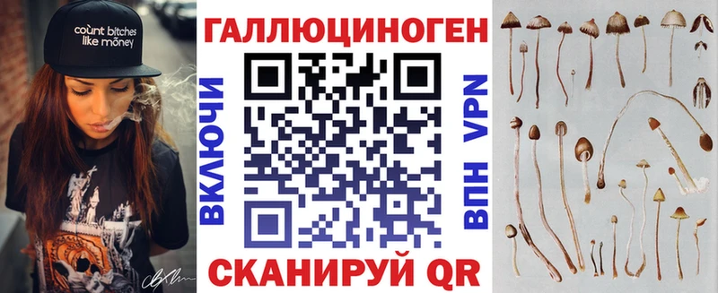 Псилоцибиновые грибы мицелий  Купить  Лахденпохья 