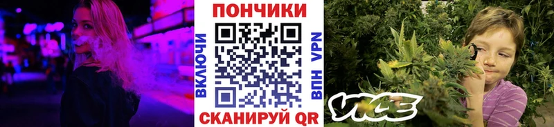 Купить закладки  Лахденпохья  Канабис план 